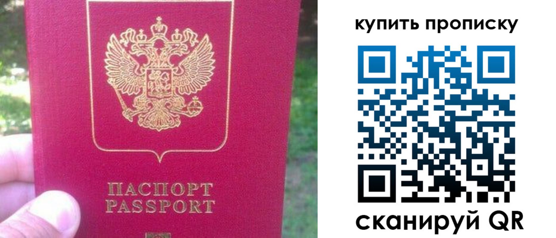 временная регистрация для школы в Ковдоре